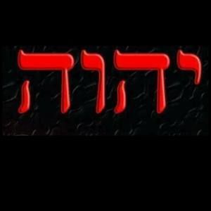 Meet your Posher, Benji